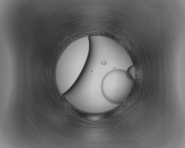 X0000112720662200908200947