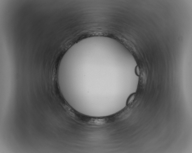 X0000112720665200908200948