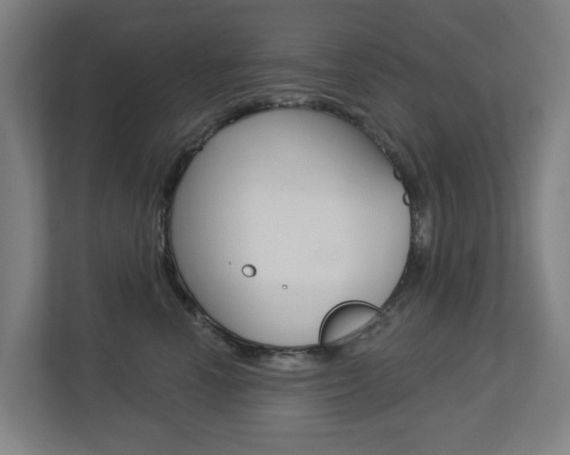 X0000112720666200908200948