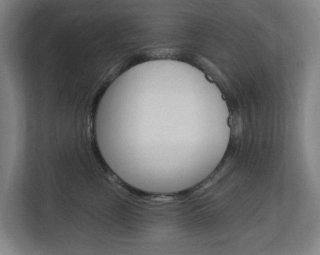 X0000112720669200908200948