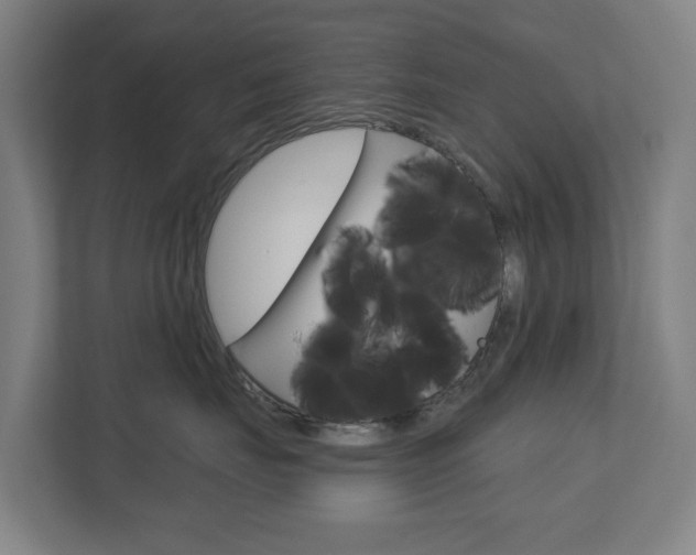 X0000112720671200908200948