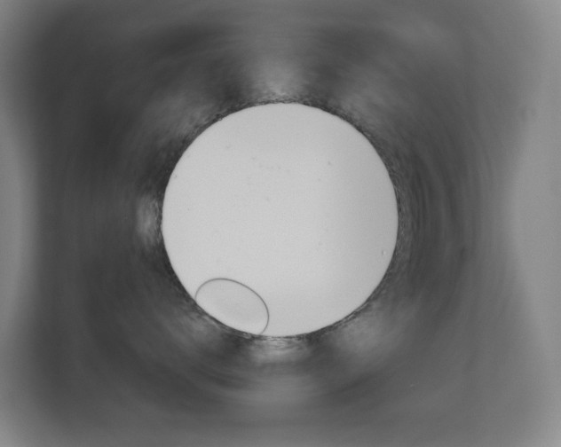 X0000112720672200908200948