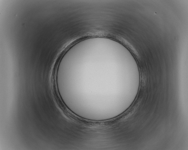 X0000112720674200908200947