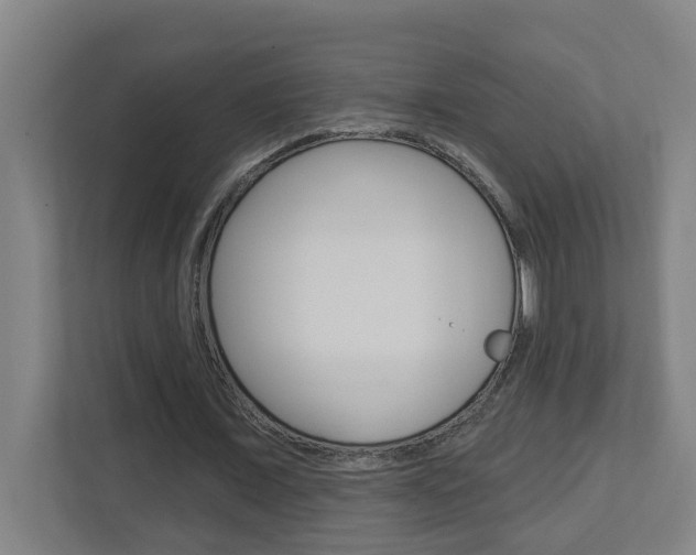 X0000112720675200908200947