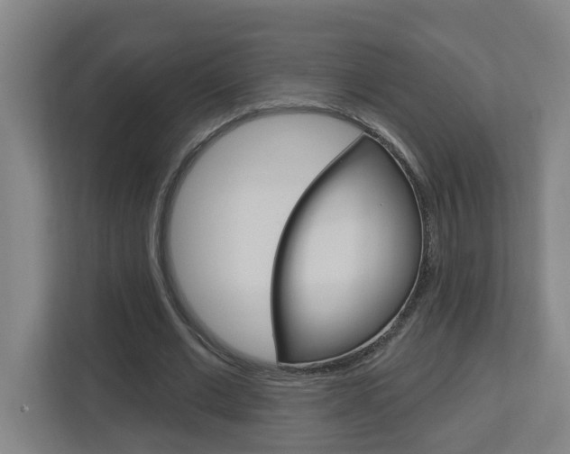 X0000112720677200908200947
