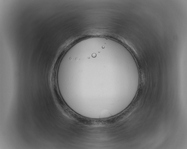 X0000112720682200908200947