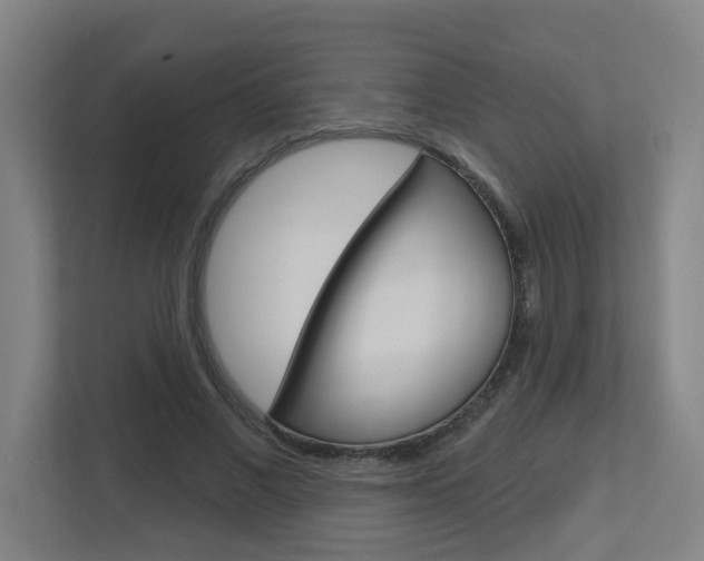 X0000112720685200908200947