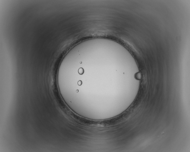 X0000112720687200908200947
