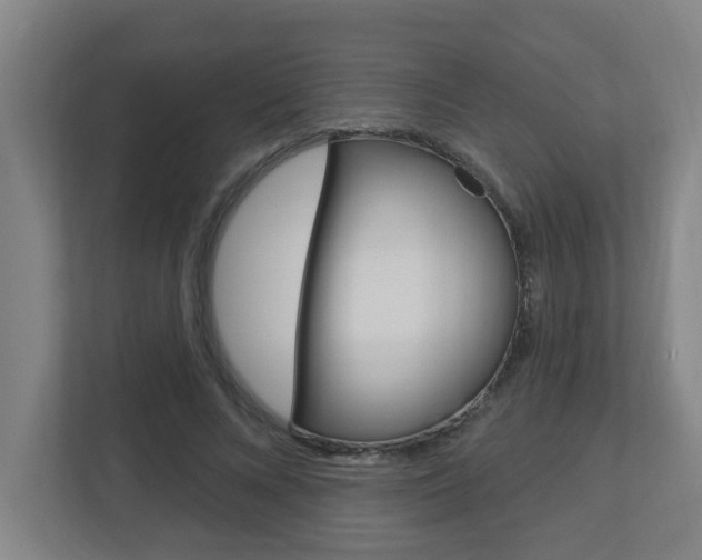 X0000112720688200908200947
