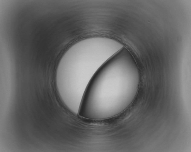 X0000112720693200908200947