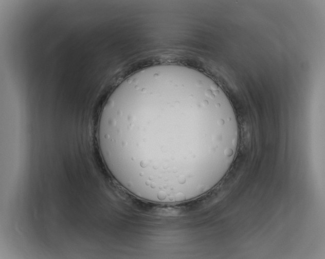 X0000112720698200908200947