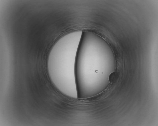 X0000112720700200908200947