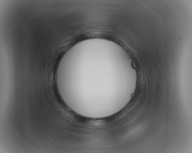 X0000112720711200908200946