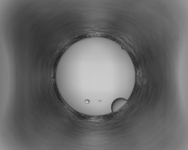 X0000112720714200908200946