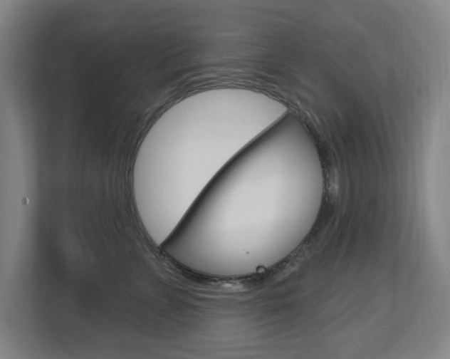 X0000112720715200908200946