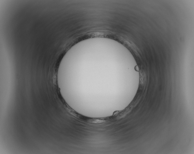 X0000112720718200908200946
