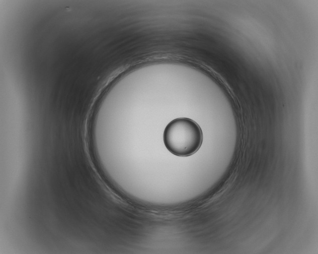 X0000112720725200908200946