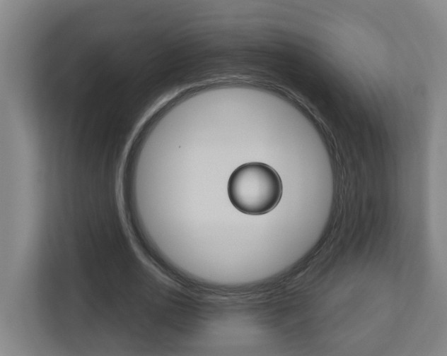 X0000112720726200908200946