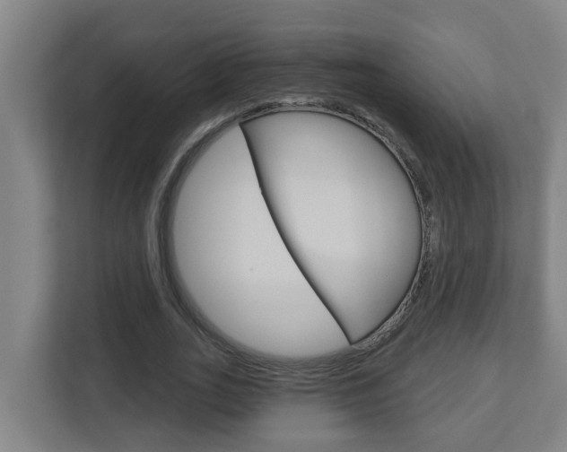 X0000112720727200908200946