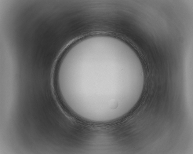 X0000112720728200908200946