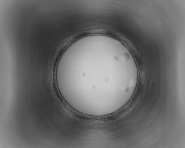 X0000112720729200908200946