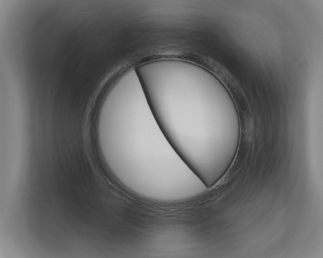 X0000112720731200908200946
