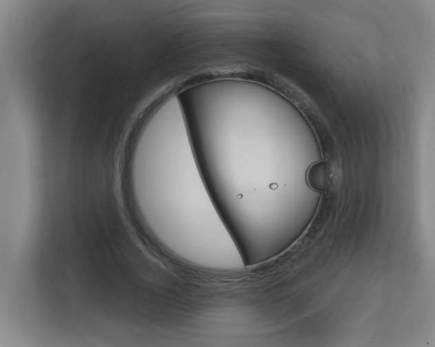 X0000112720732200908200946