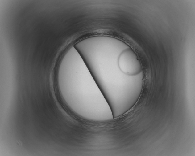 X0000112720734200908200946