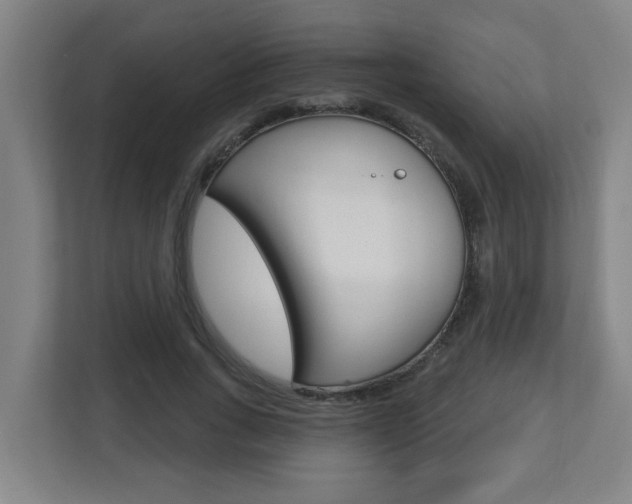 X0000112720735200908200946