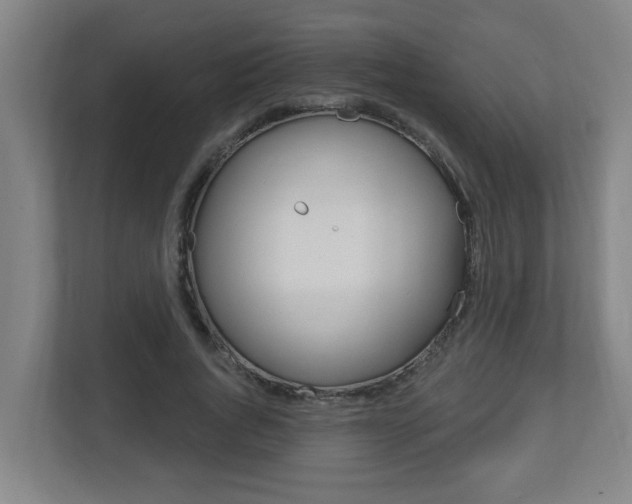 X0000112720736200908200946