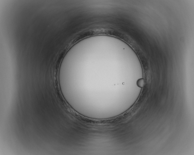 X0000112720737200908200946