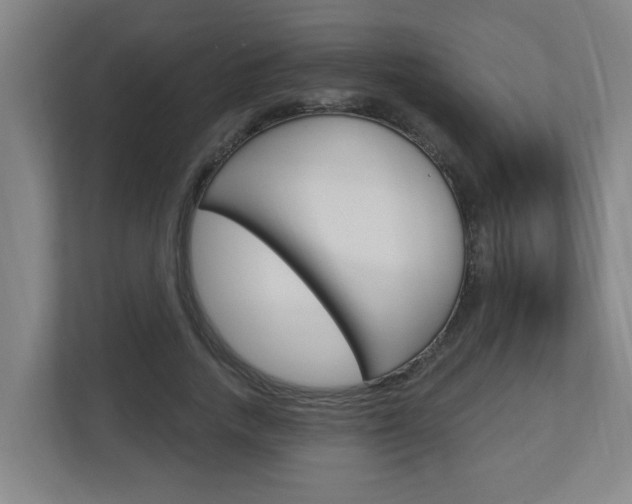 X0000112720738200908200946