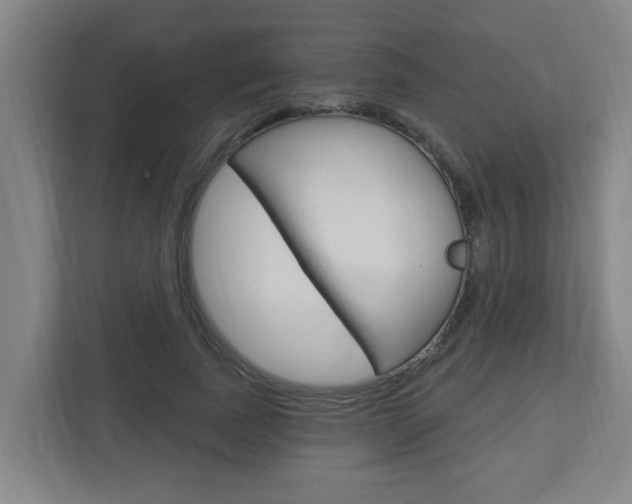 X0000112720739200908200946