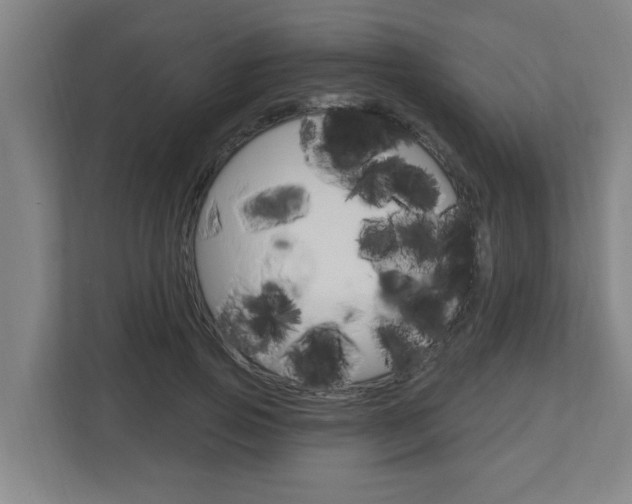 X0000112720741200908200946