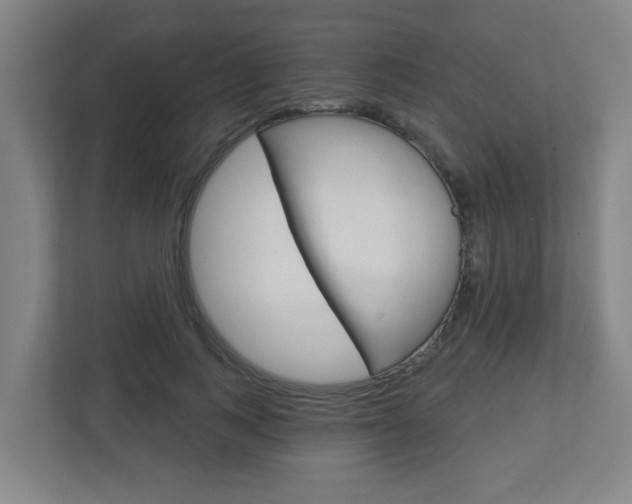 X0000112720743200908200946