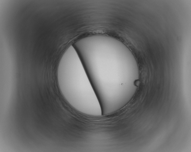 X0000112720747200908200946