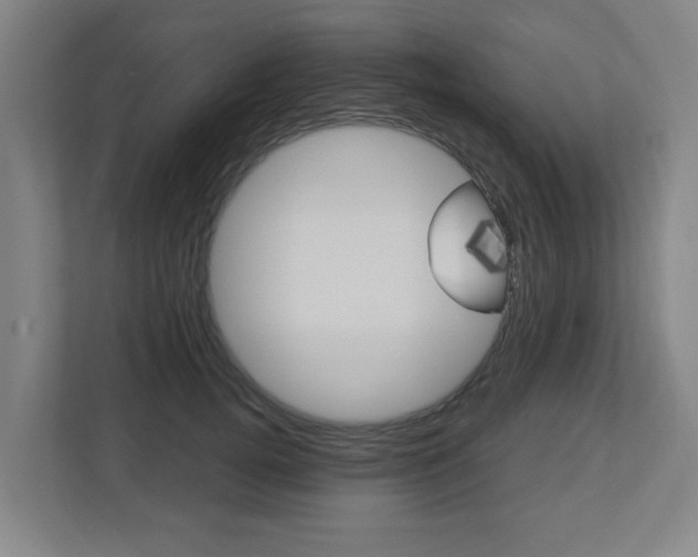 X0000112720752200908200946