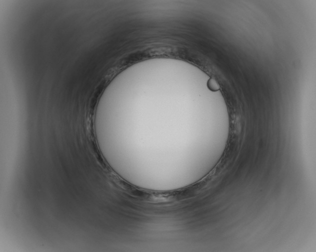 X0000112720753200908200946