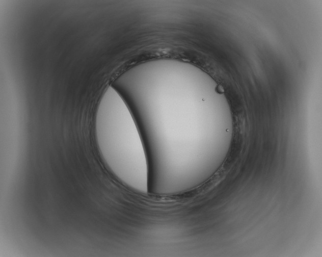 X0000112720754200908200946