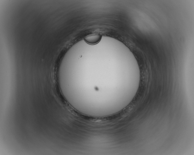 X0000112720755200908200946