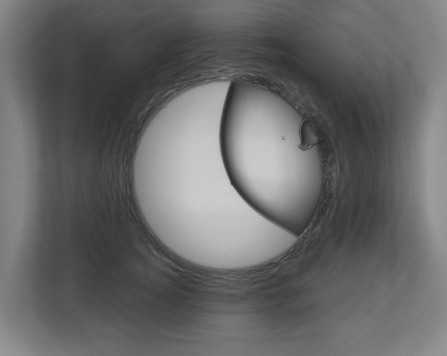 X0000112720756200908200946