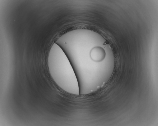 X0000112720759200908200946