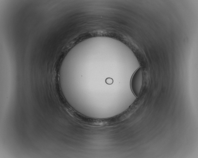 X0000112720760200908200946