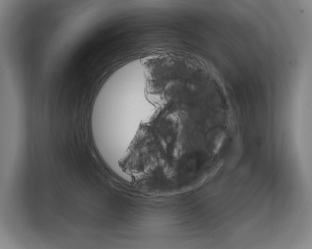 X0000112720761200908200946