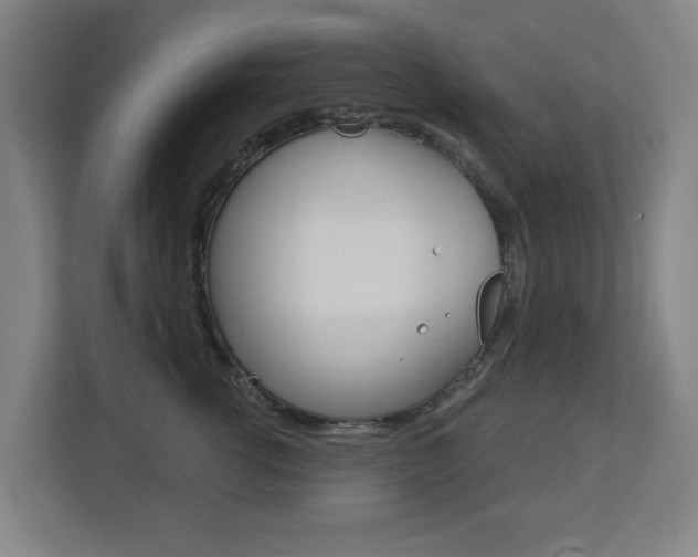 X0000112720762200908200946