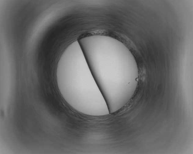 X0000112720763200908200946