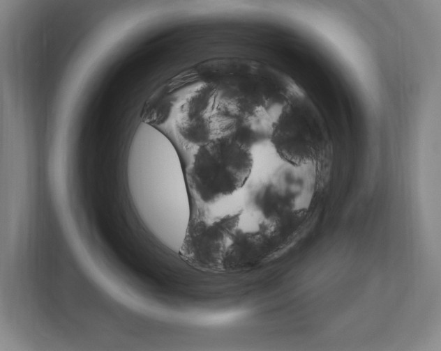 X0000112720765200908200946
