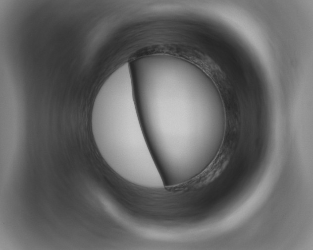 X0000112720766200908200946