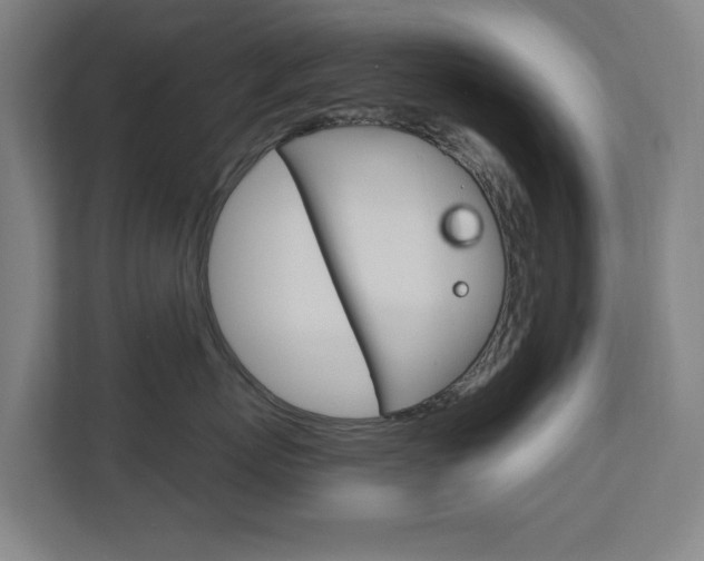 X0000112720767200908200946