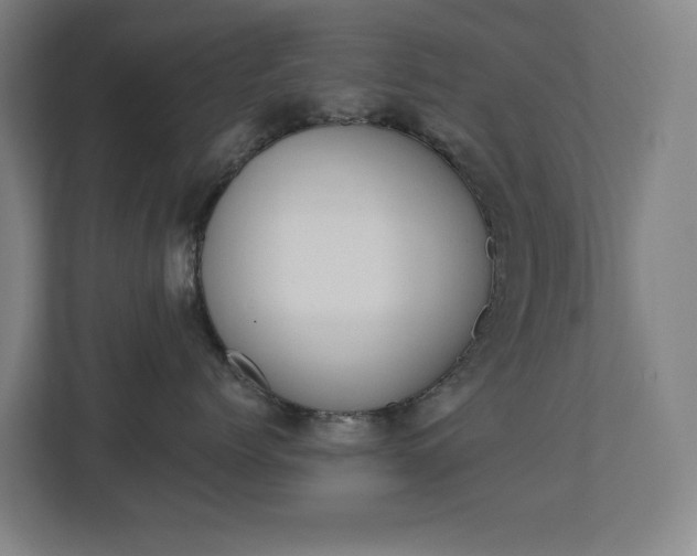 X0000112720768200908200946